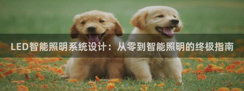 LED智能照明系统设计：从零到智能照明的终极指南