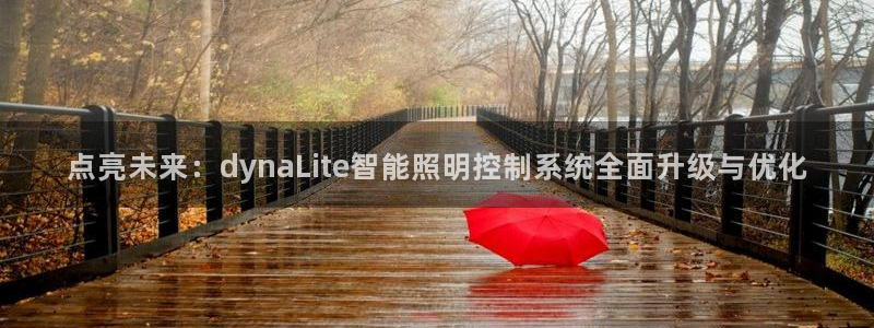 点亮未来:dynaLite智能照明控制系统全面升级与优化