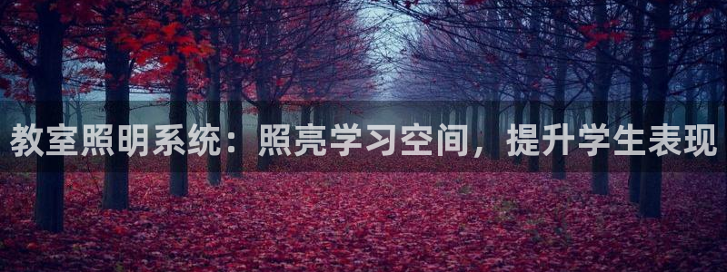教室照明系统：照亮学习空间，提升学生表现