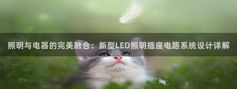 照明与电器的完美融合:新型LED照明插座电路系统设计详解
