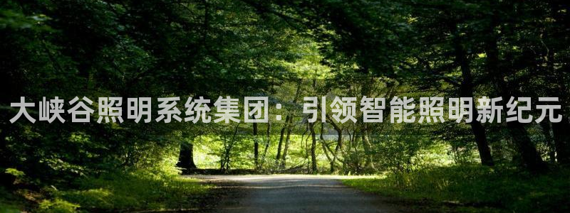 大峡谷照明系统集团:引领智能照明新纪元
