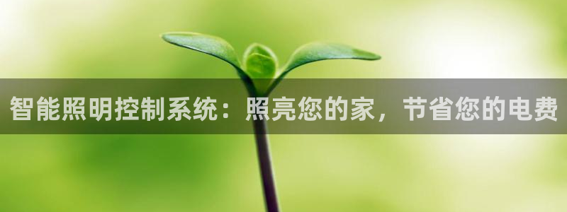 智能照明控制系统：照亮您的家，节省您的电费