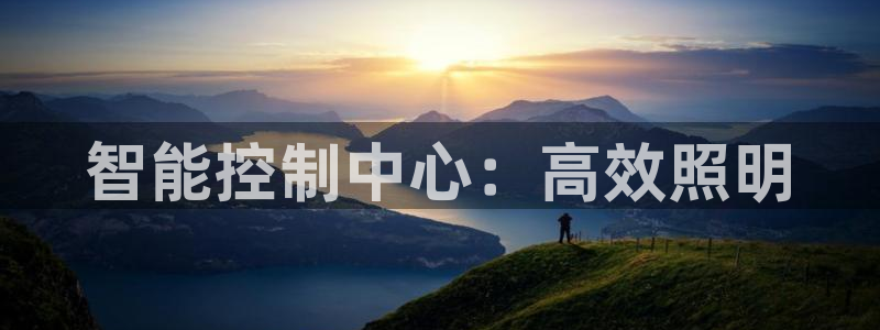 智能控制中心：高效照明