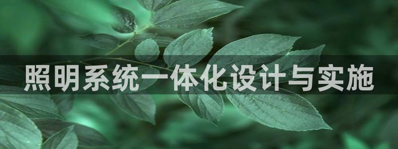 照明系统一体化设计与实施