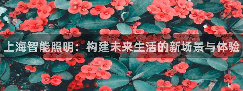 上海智能照明：构建未来生活的新场景与体验