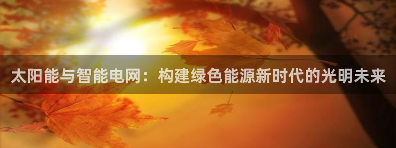 太阳能与智能电网:构建绿色能源新时代的光明未来