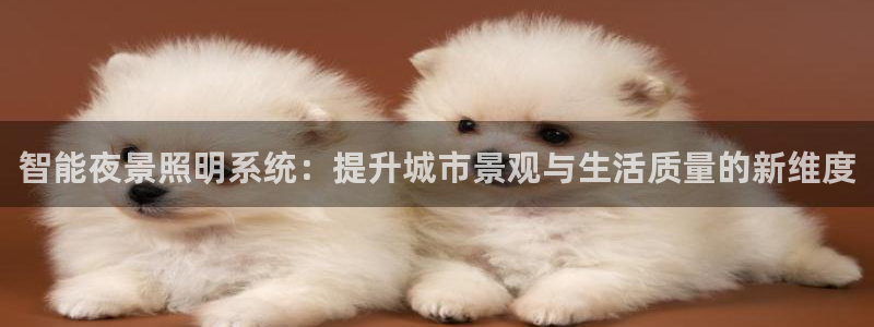 智能夜景照明系统:提升城市景观与生活质量的新维度