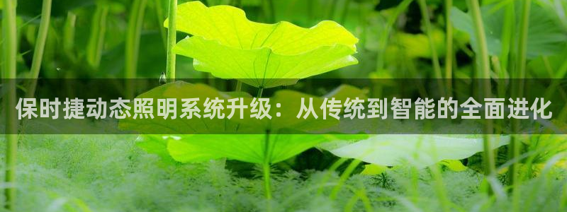 保时捷动态照明系统升级：从传统到智能的全