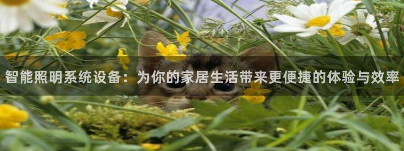 智能照明系统设备：为你的家居生活带来更便捷的体验与效率
