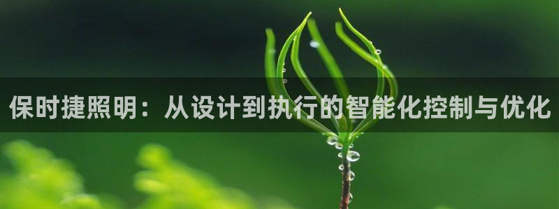 保时捷照明:从设计到执行的智能化控制与优化