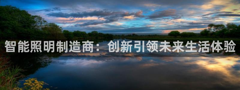 智能照明制造商：创新引领未来生活体验