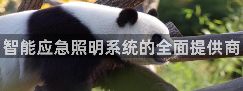 智能应急照明系统的全面提供商