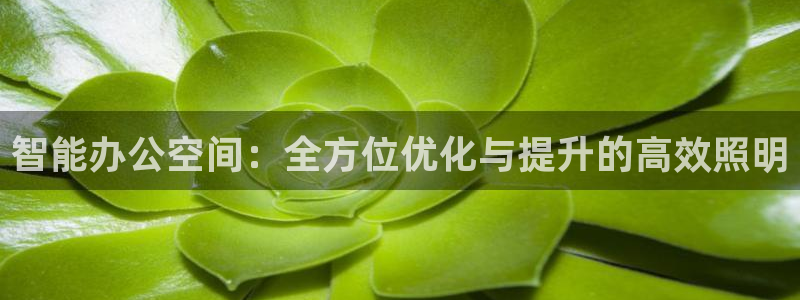 智能办公空间:全方位优化与提升的高效照明