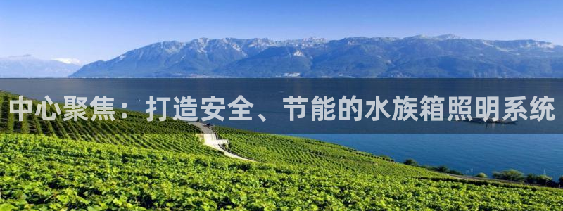 中心聚焦：打造安全、节能的水族箱照明系统