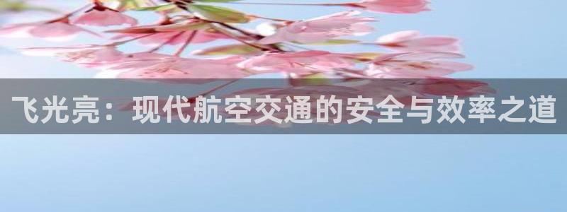 飞光亮：现代航空交通的安全与效率之道