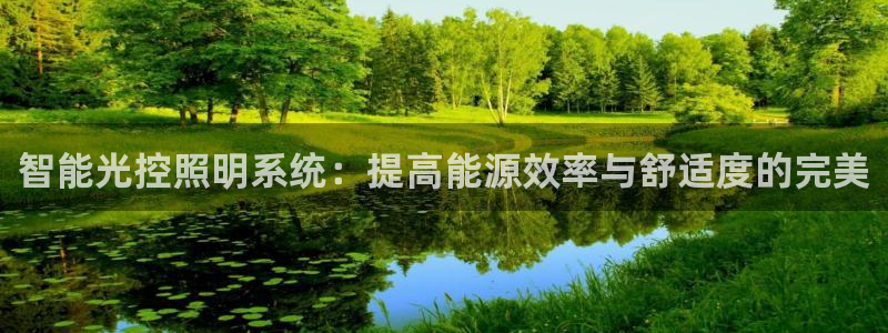 智能光控照明系统：提高能源效率与舒适度的