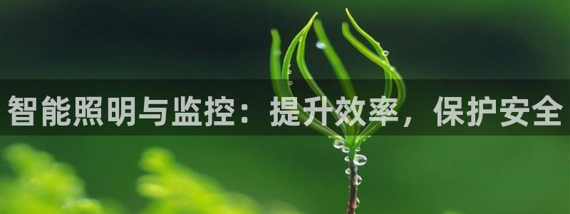 智能照明与监控：提升效率，保护安全