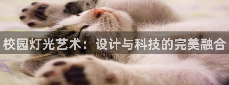 校园灯光艺术：设计与科技的完美融合