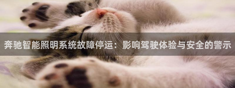 奔驰智能照明系统故障停运:影响驾驶体验与安全的警示