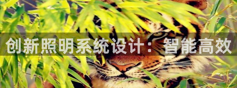 创新照明系统设计：智能高效
