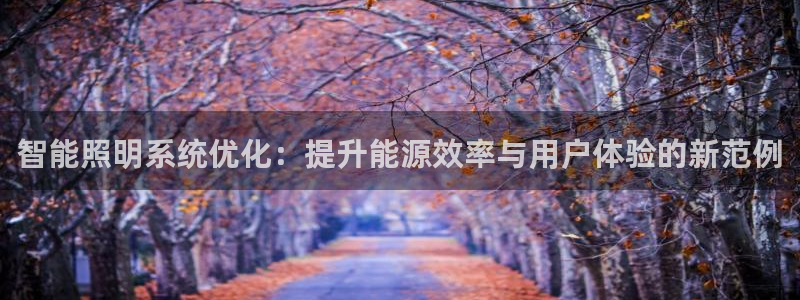 智能照明系统优化:提升能源效率与用户体验的新范例