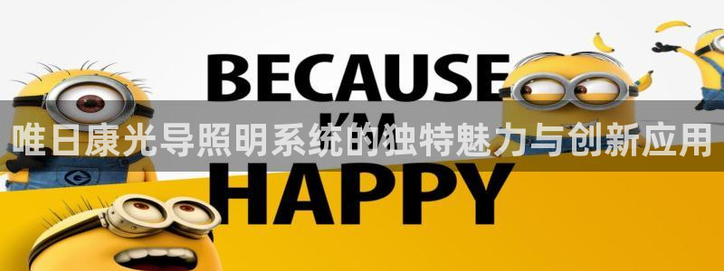 唯日康光导照明系统的独特魅力与创新应用