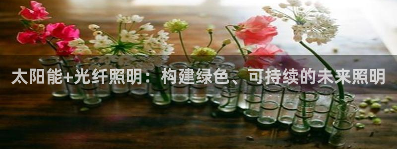 太阳能+光纤照明：构建绿色、可持续的未来