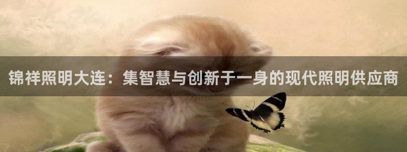 锦祥照明大连：集智慧与创新于一身的现代照明供应商