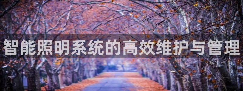 智能照明系统的高效维护与管理