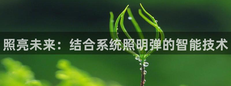 照亮未来：结合系统照明弹的智能技术