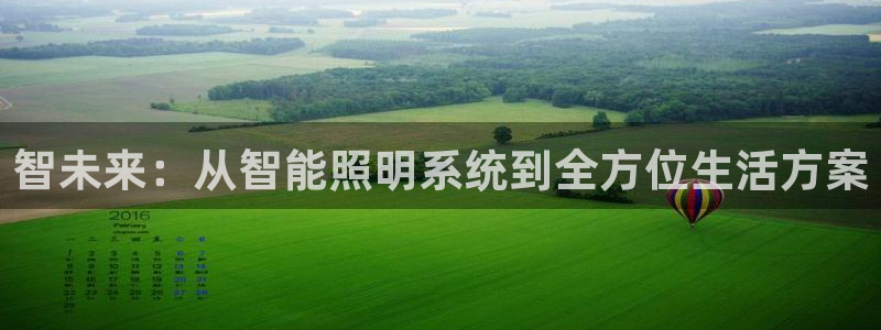 智未来：从智能照明系统到全方位生活方案