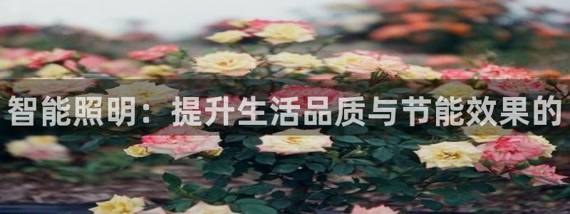智能照明：提升生活品质与节能效果的