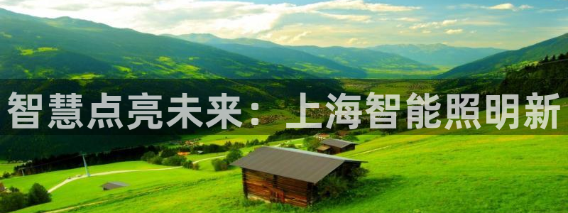 智慧点亮未来：上海智能照明新