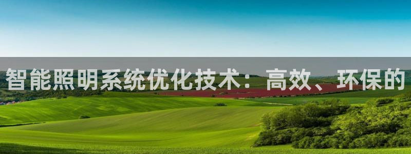 智能照明系统优化技术：高效、环保的