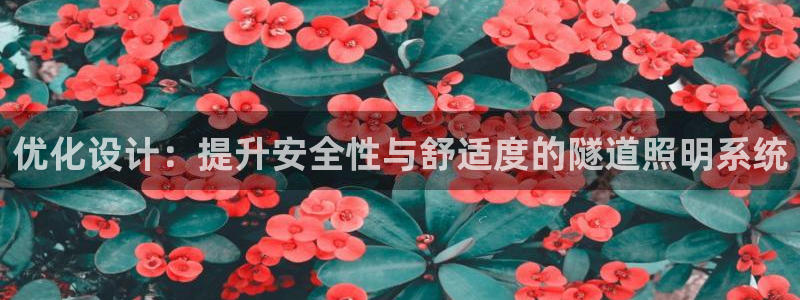 优化设计：提升安全性与舒适度的隧道照明系统