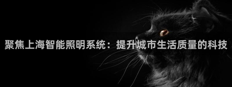 聚焦上海智能照明系统：提升城市生活质量的科技