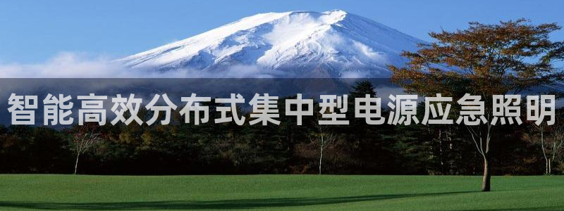 智能高效分布式集中型电源应急照明