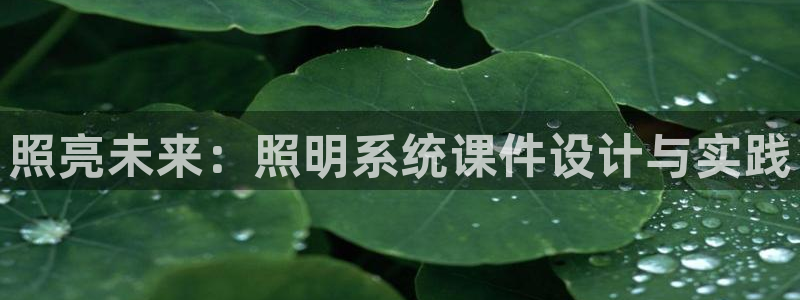 照亮未来：照明系统课件设计与实践