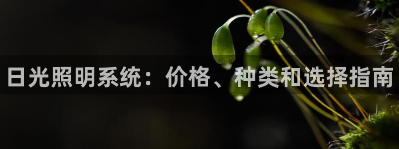 日光照明系统：价格、种类和选择指南