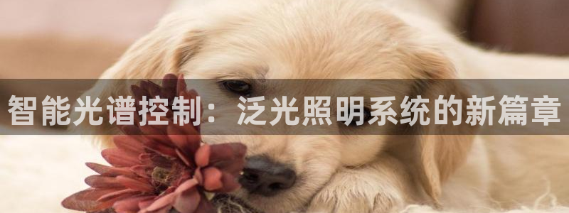 智能光谱控制：泛光照明系统的新篇章