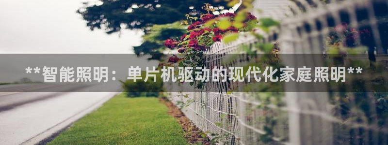 **智能照明：单片机驱动的现代化家庭照明**