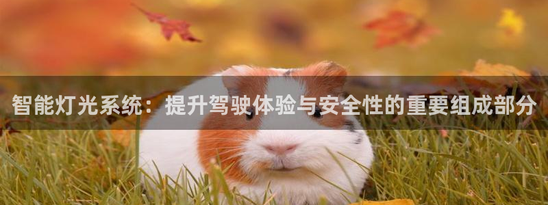 智能灯光系统：提升驾驶体验与安全性的重要组成部分
