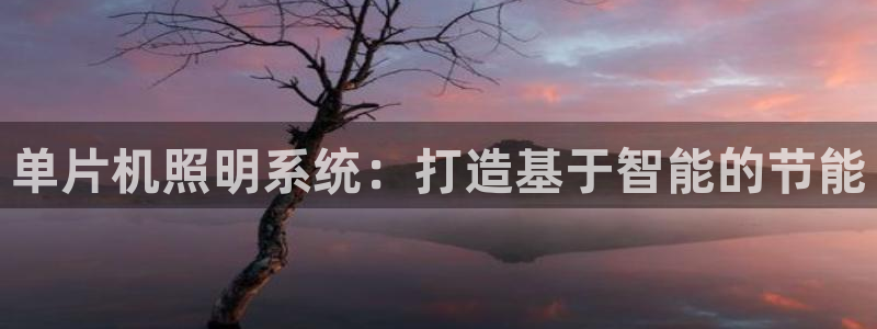 单片机照明系统：打造基于智能的节能