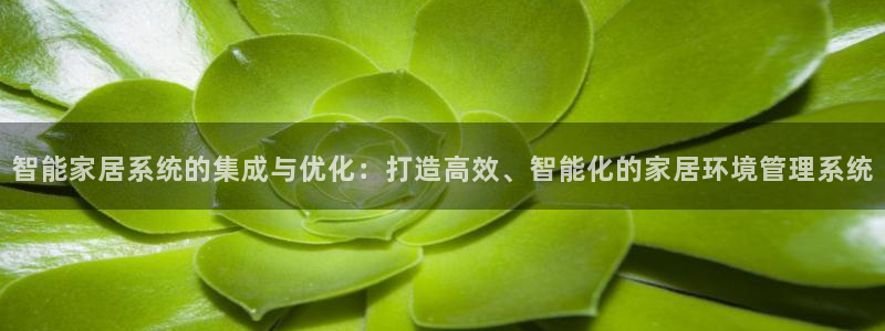 智能家居系统的集成与优化:打造高效、智能化的家居环境管理系统