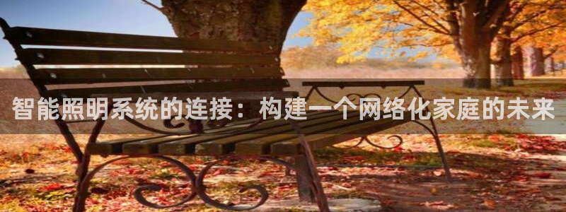 智能照明系统的连接：构建一个网络化家庭的