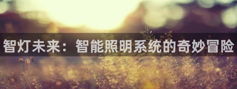 智灯未来：智能照明系统的奇妙冒险
