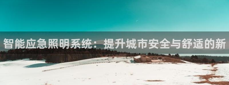 智能应急照明系统：提升城市安全与舒适的新