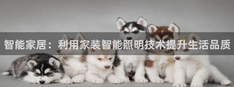 智能家居：利用家装智能照明技术提升生活品质