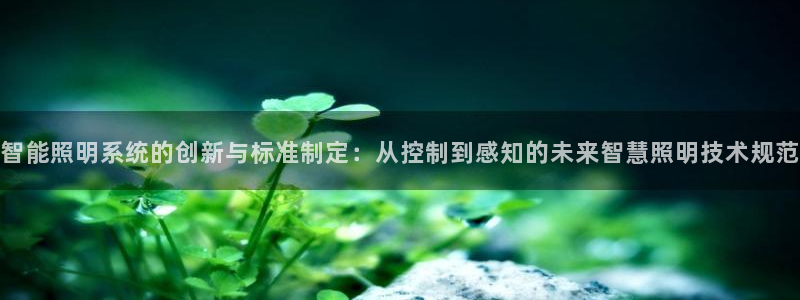 智能照明系统的创新与标准制定：从控制到感知的未来智慧照明技术规范
