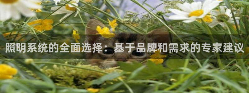 照明系统的全面选择：基于品牌和需求的专家建议